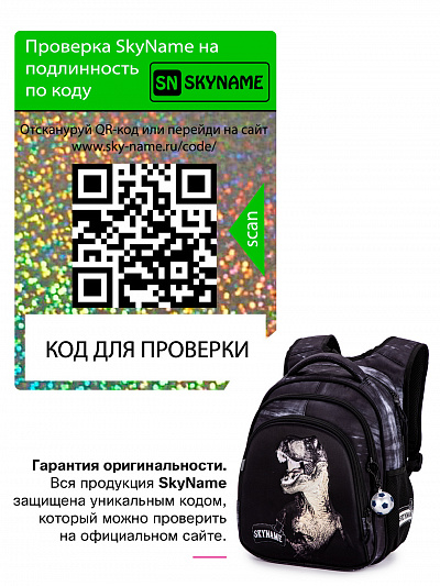 Школьный рюкзак с пеналом и мешком SkyName Full R2-202 - Фото 20