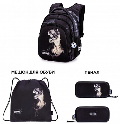 Школьный рюкзак с пеналом и мешком SkyName Full R2-202 - Фото 1