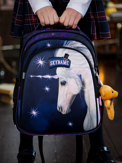 Школьный рюкзак с пеналом и мешком SkyName Full R2-199 - Фото 3