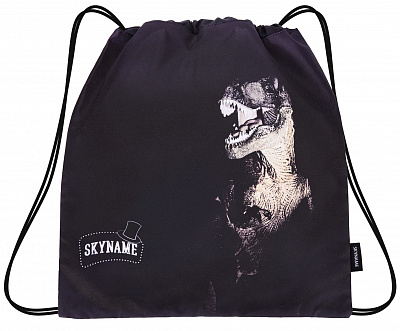 Школьный рюкзак с пеналом и мешком SkyName Full R2-202 - Фото 5
