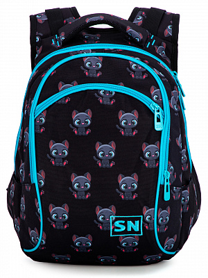 Рюкзак SkyName 50-29