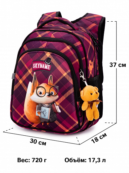 Школьный рюкзак с пеналом и мешком SkyName Full R2-196