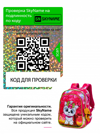 Школьный ранец с пеналом и мешком SkyName Full R5-004 - Фото 11