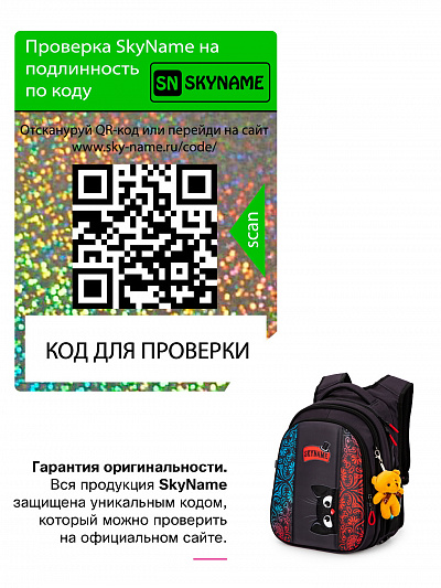 Школьный рюкзак с пеналом и мешком SkyName Full R1-036 - Фото 20