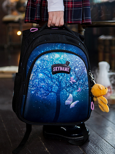 Школьный рюкзак с пеналом и мешком SkyName Full R2-198 - Фото 3