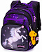 Школьный рюкзак с пеналом и мешком SkyName Full R3-260
