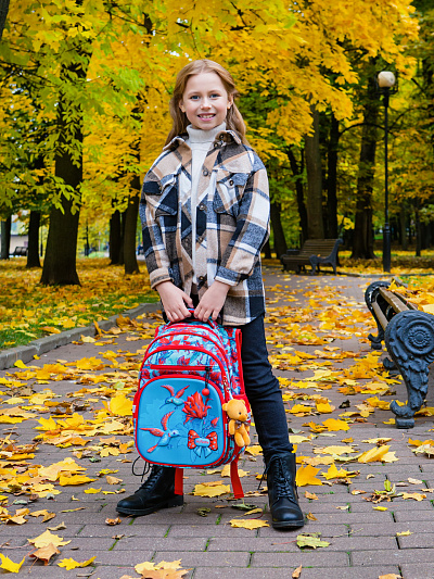 Школьный ранец с пеналом и мешком SkyName Full R3-244 - Фото 4