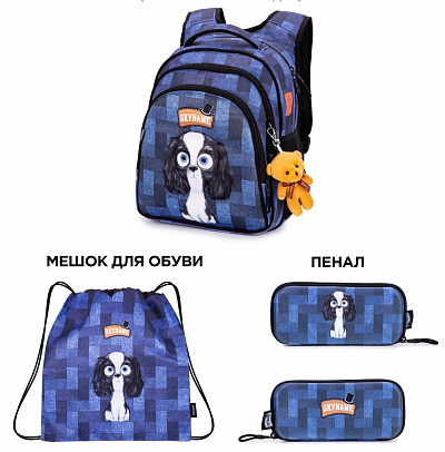 Школьный рюкзак с пеналом и мешком SkyName Full R2-200 - Фото 1