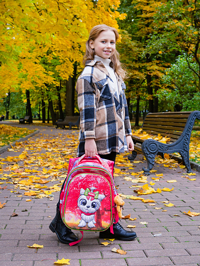 Школьный ранец с пеналом и мешком SkyName Full R1-025 - Фото 4