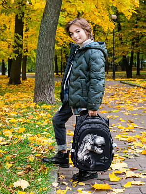 Школьный ранец с пеналом и мешком SkyName Full R1-027