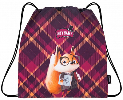 Школьный рюкзак с пеналом и мешком SkyName Full R2-196 - Фото 6