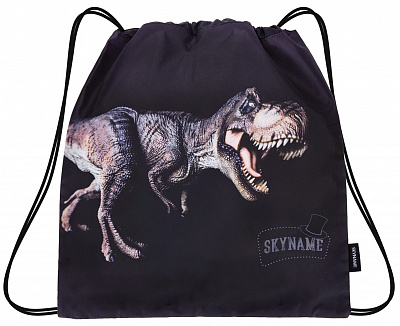 Школьный рюкзак с пеналом и мешком SkyName Full R3-255 - Фото 5