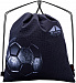 Школьный ранец с пеналом и мешком SkyName Full R2-188