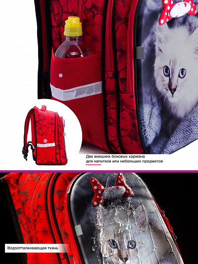 Школьный рюкзак с пеналом и мешком SkyName Full R1-014 - Фото 10