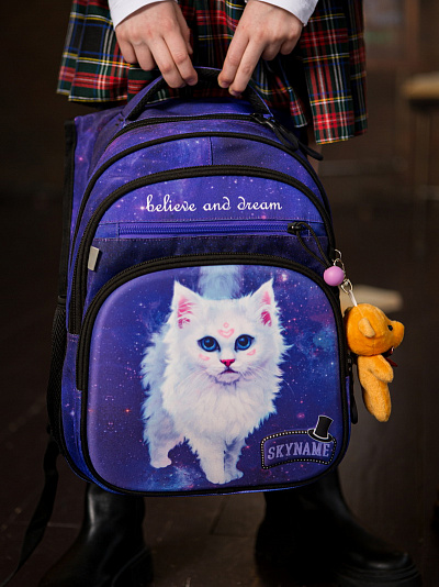 Школьный рюкзак с пеналом и мешком SkyName Full R3-259 - Фото 2