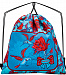 Школьный ранец с пеналом и мешком SkyName Full R3-244