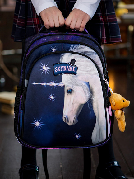 Школьный рюкзак с пеналом и мешком SkyName Full R2-199