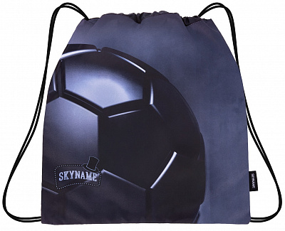 Школьный рюкзак с пеналом и мешком SkyName Full R2-194 - Фото 5