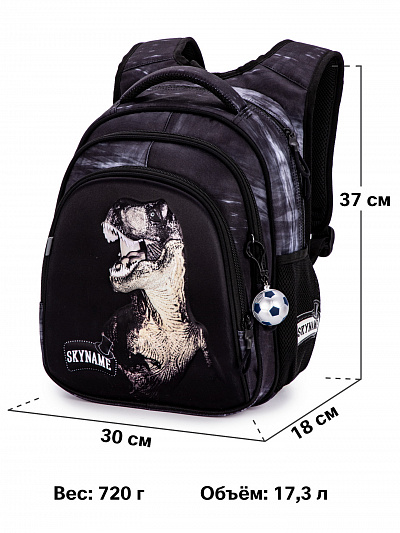 Школьный рюкзак с пеналом и мешком SkyName Full R2-202 - Фото 14