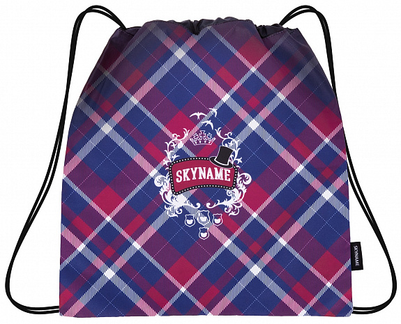 Школьный рюкзак с пеналом и мешком SkyName Full R1-038