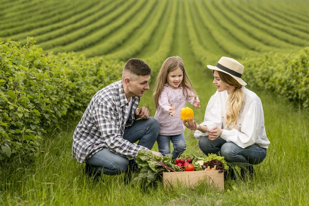 family-at-farmland-with-basket-of-vegetables_23-2148579712.jpg