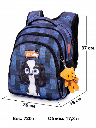 Школьный рюкзак с пеналом и мешком SkyName Full R2-200 - Фото 15