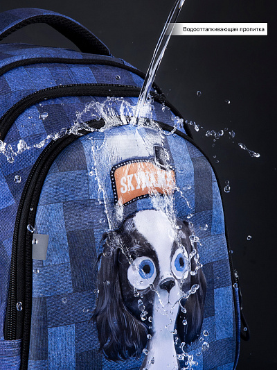 Школьный рюкзак с пеналом и мешком SkyName Full R2-200 - Фото 20