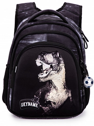 Школьный рюкзак с пеналом и мешком SkyName Full R2-202 - Фото 10