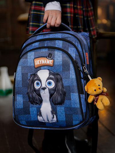 Школьный рюкзак с пеналом и мешком SkyName Full R2-200 - Фото 3